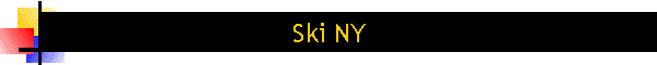 Ski NY