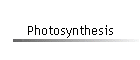 Photosynthesis