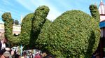 Magic Kingdom 29