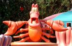 Magic Kingdom 33