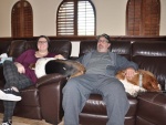 Dogged