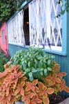 Quaint Squared