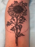 Daisy